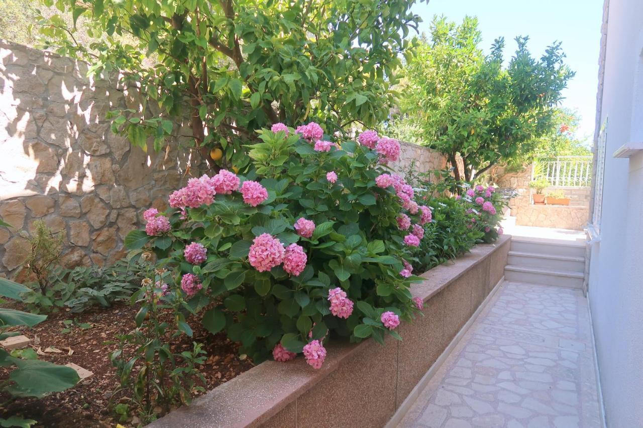 Cvita Apartments Trogir Luaran gambar